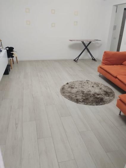 Apartament cu 2 camere, mobilat în Theodor Pallady