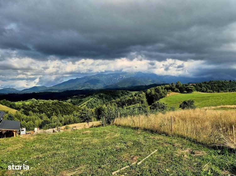 Teren Extravilan De Vanzare Pestera, Moeciu- Investitie Cu Potential - 13