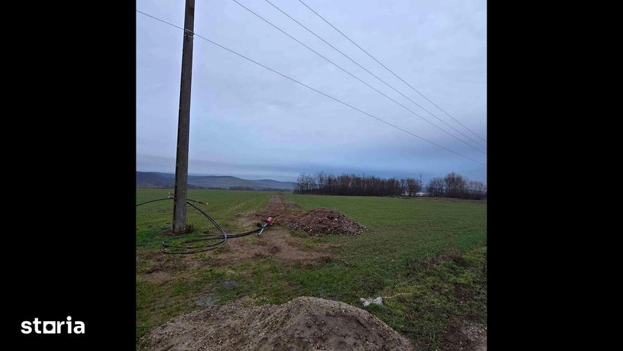 Teren de 520 mp, în Oșorhei