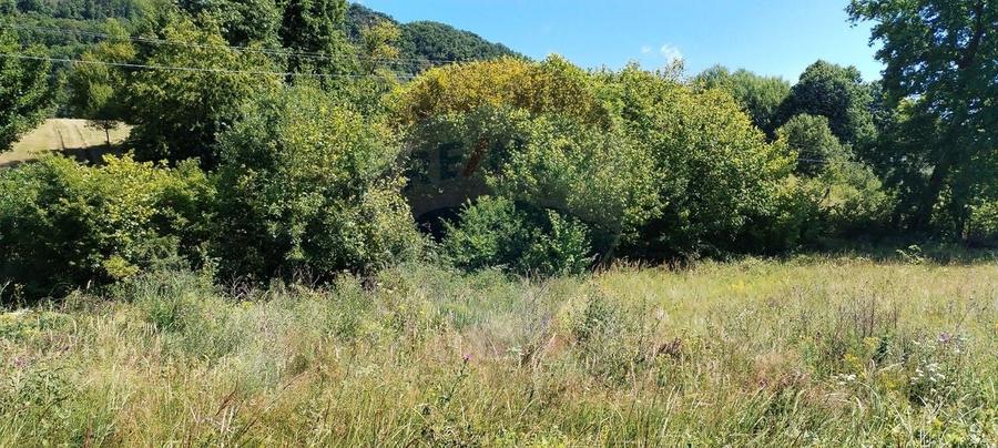 Teren Construcții intravilan de 3871 mp, în Vărmaga