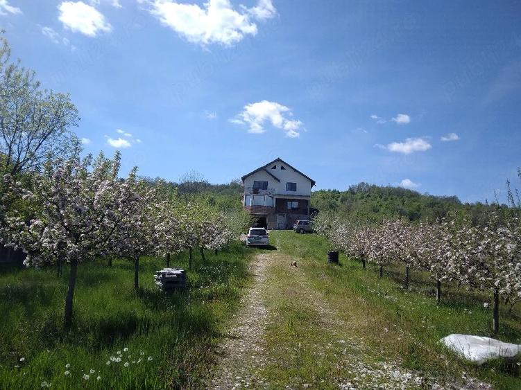 Casă cu 4 camere cu Teren 30000 Mp în Fârtățești