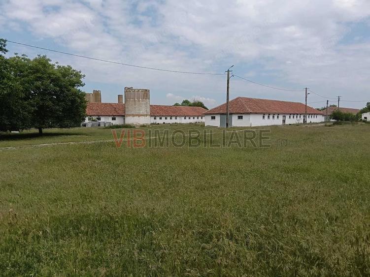 Ferma complet utilata 30 ha teren comasat cu 11.500mp grajduri renovate Timi? Comuna Biled - 7