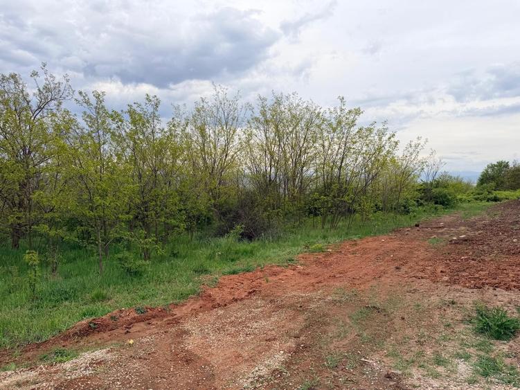 Teren Construcții de 1001 mp, în Cetate