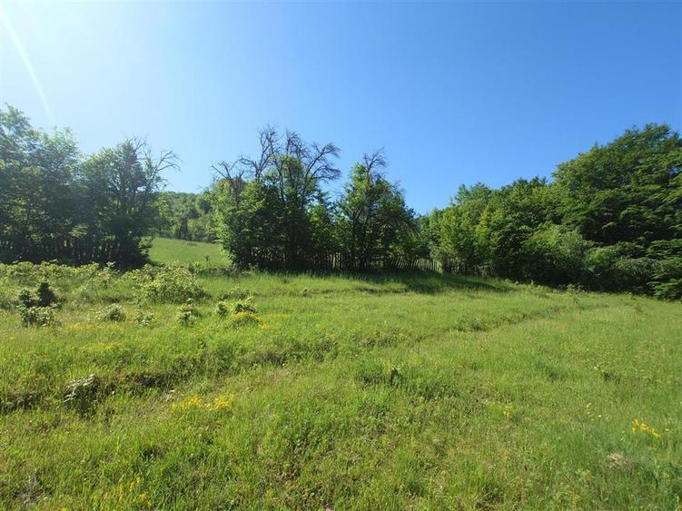 Casă individuală cu 3 camere cu Teren 34965 Mp în Blăjeni