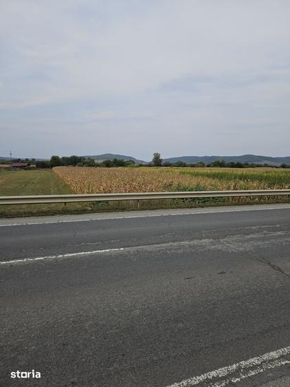 Teren de 2900 mp, în Central