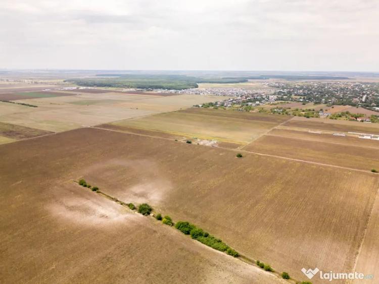 DASCALU TEREN INTRAVILAN 11300 MP, INVESTITIE! - Dascalu (Bucuresti-Ilfov) - 1