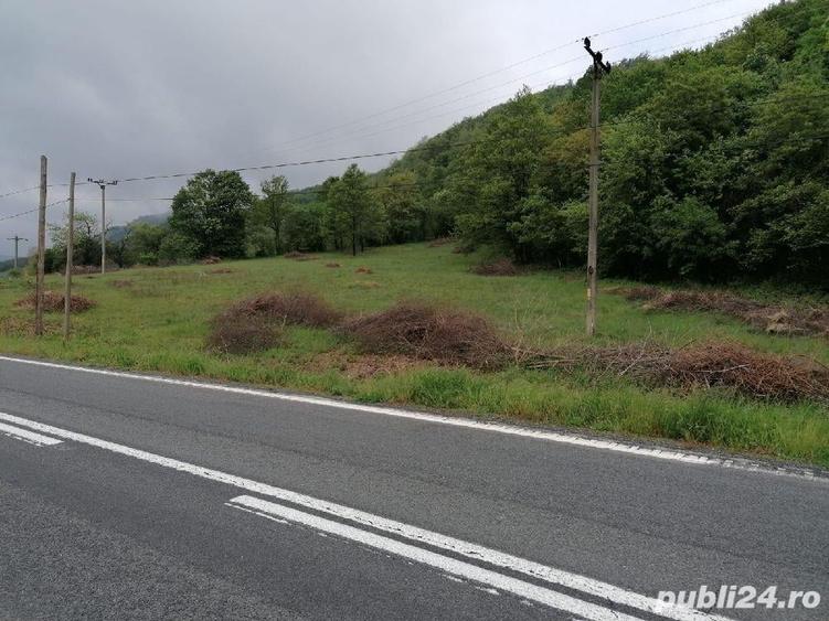 Teren de 2500 mp, în Sichevița