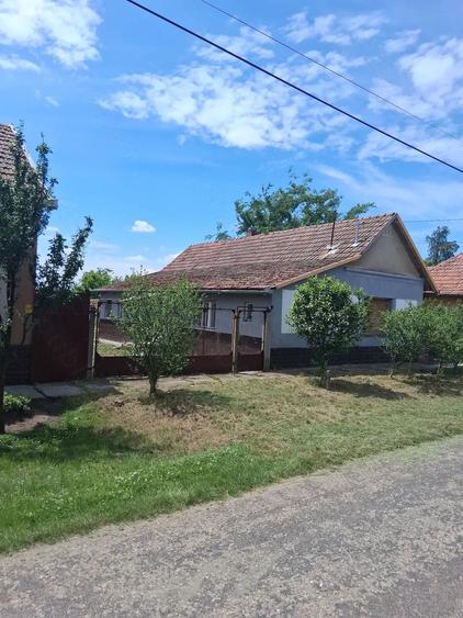 Casă cu 3 camere cu Teren 1500 Mp în Central