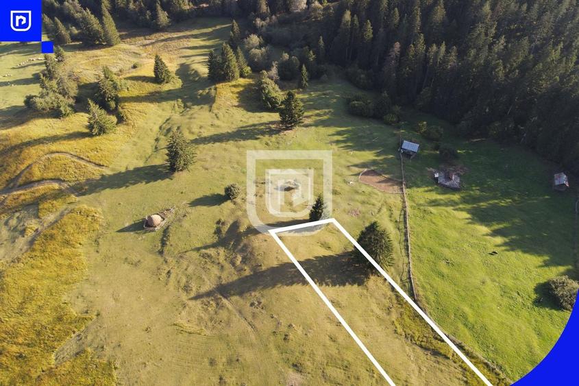 Teren Construcții extravilan de 3197 mp, în Vest