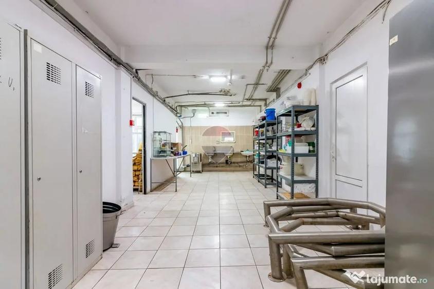 Spațiu comercial, de 350 mp, în Berceni