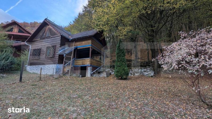 Casă cu 4 camere cu Teren 890 Mp în Ighiu