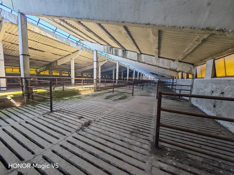 Spațiu industrial, de 7,950 mp, în Orțișoara