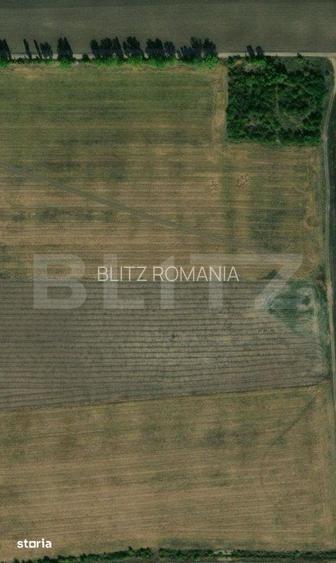 Teren extravilan, zona Carcea, cu o suprafata de 12218 mp