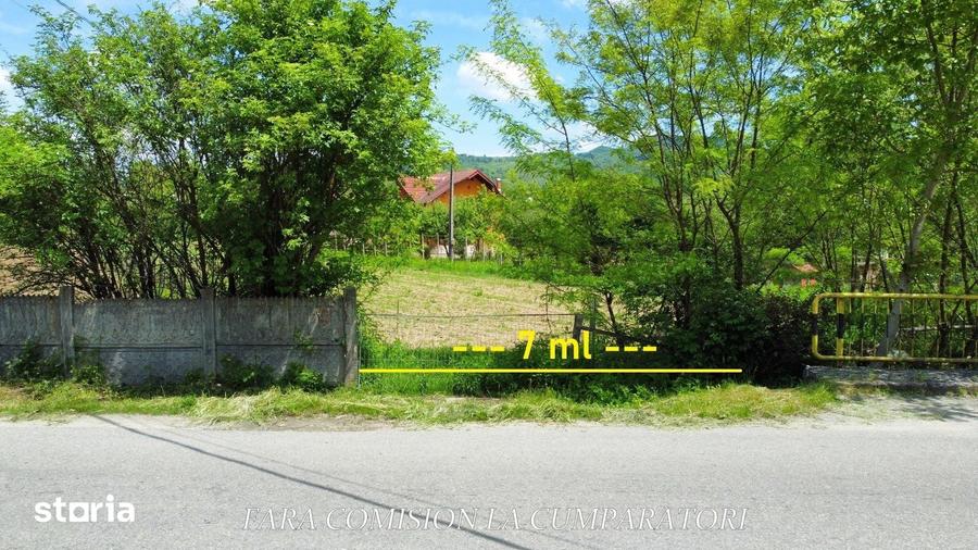 Teren de 1965 mp, în Păușești