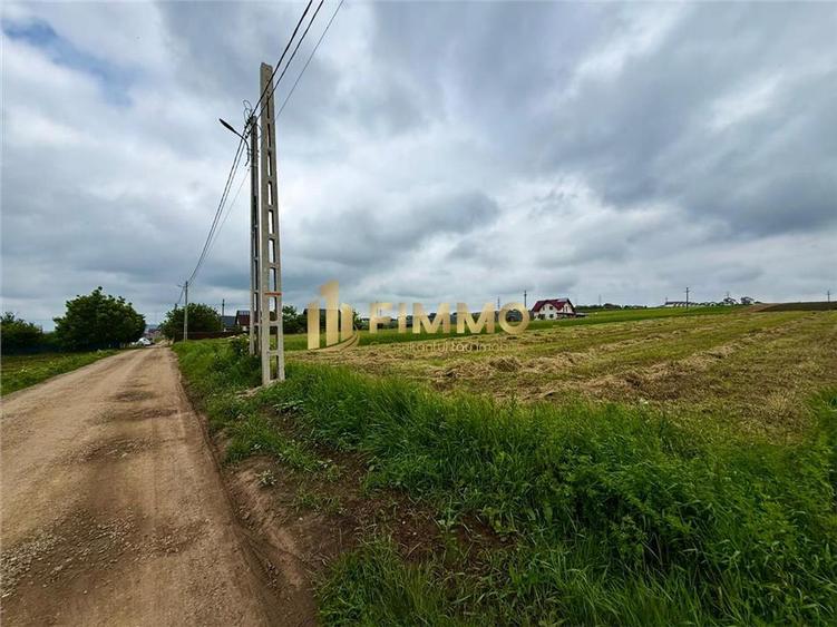 Teren Construcții extravilan de 6015 mp, în Moara