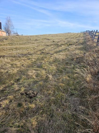 Teren de 4467 mp, în Măguri