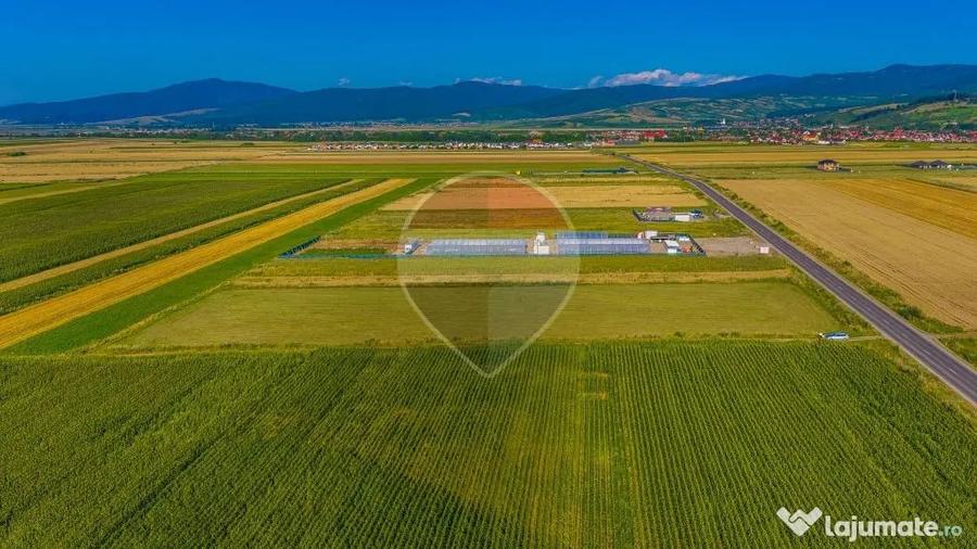 COMISION 0% | Teren intravilan 7.500 mp | Tarlungeni, Brasov - Tarlungeni (Brasov) - 8