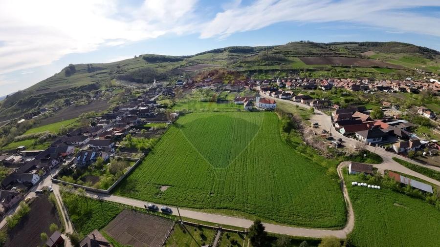 Teren agricol intravilan de 7342 mp, în Alma