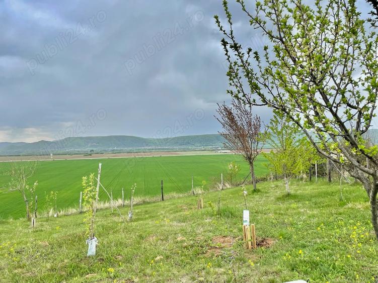 Teren în Urleta