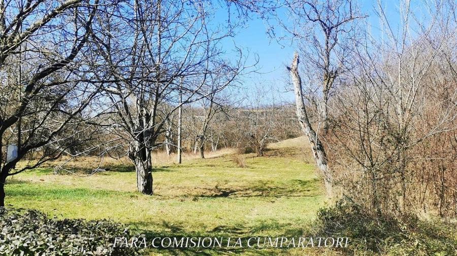 Teren Construcții intravilan de 5061 mp, în Calea lui Traian-Sud