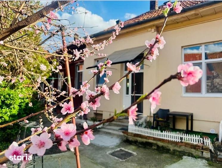 Apartament cu 2 camere în Orașul Nou