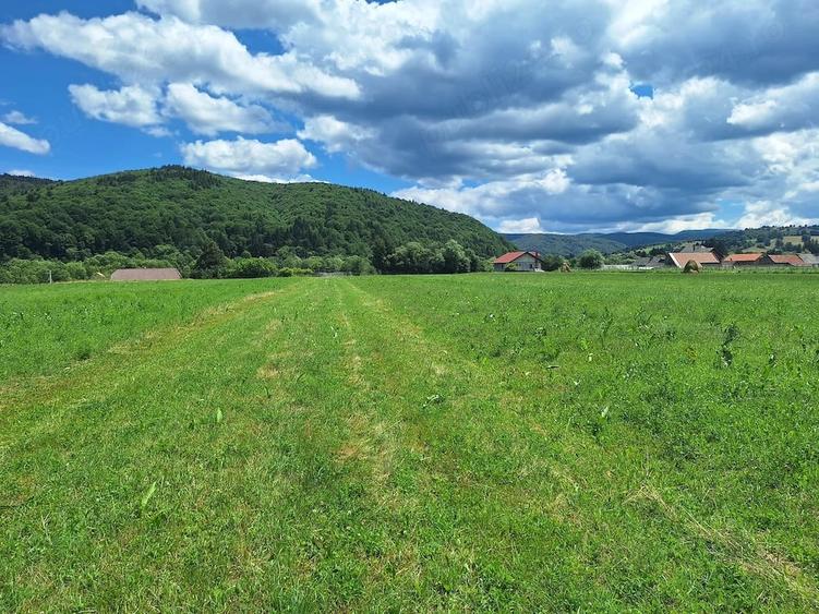 Teren de 4400 mp, în Vama Buzăului