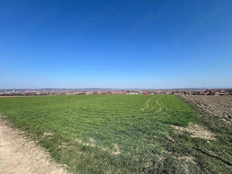 Teren de 5375 mp, în Cheriu