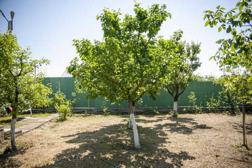 Casă individuală cu 9 camere cu Canalizare în Pleșești (Berca)