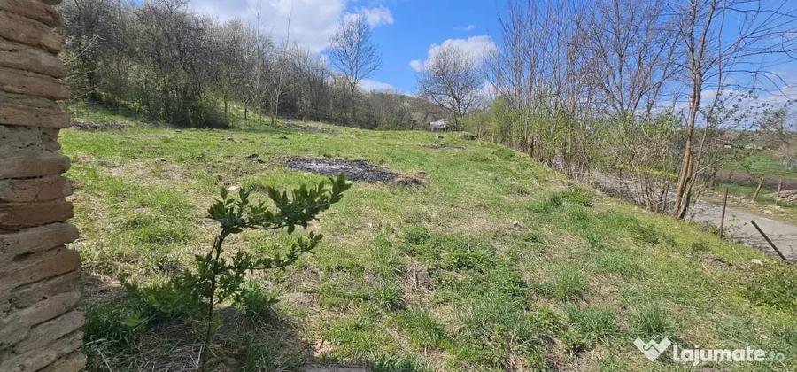 Verme? - Bistrita Nasaud - Teren Intravilan - 35 Ari - Pret in euro pe Ar - 2