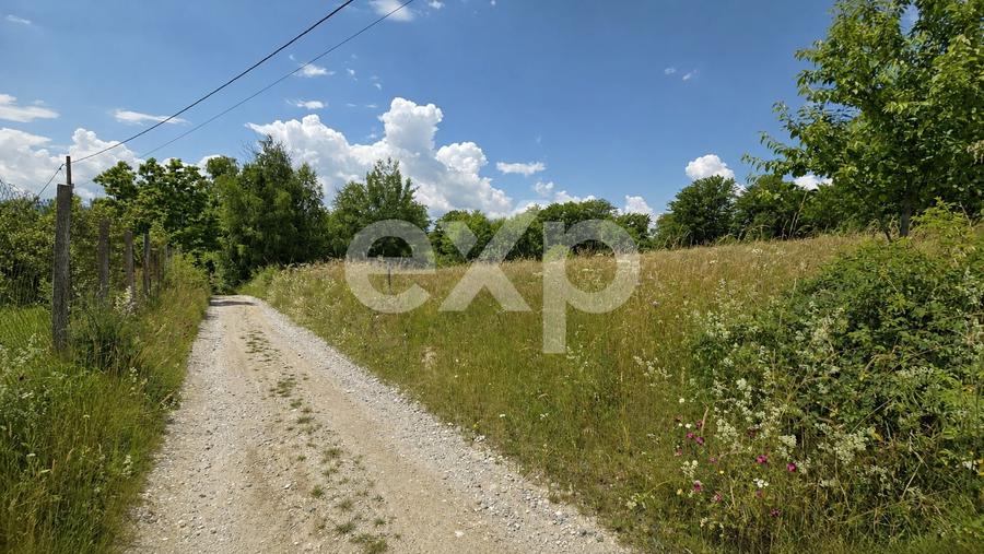Teren agricol extravilan de 4725 mp, în Poiana Mărului