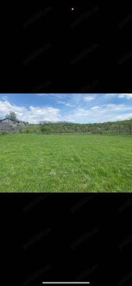 Teren de 6000 mp, în Sălciua Nouă