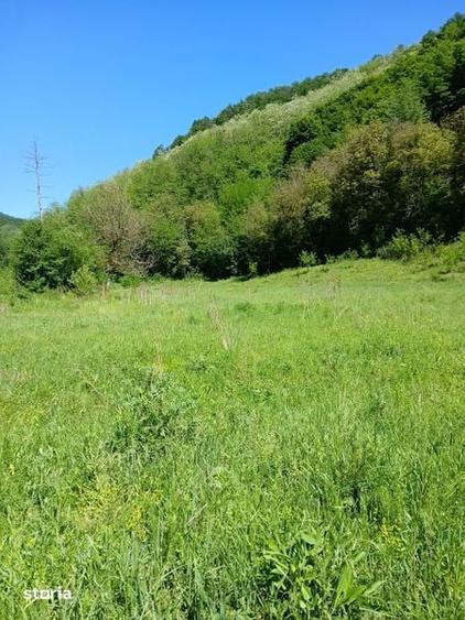 Teren de 3848 mp, în Central