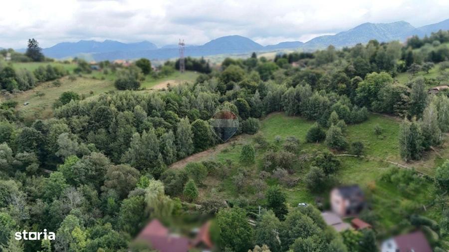 Comision 0% |Teren intravilan 2.700 mp | Sohodol Bran |Castelul Bran - 7