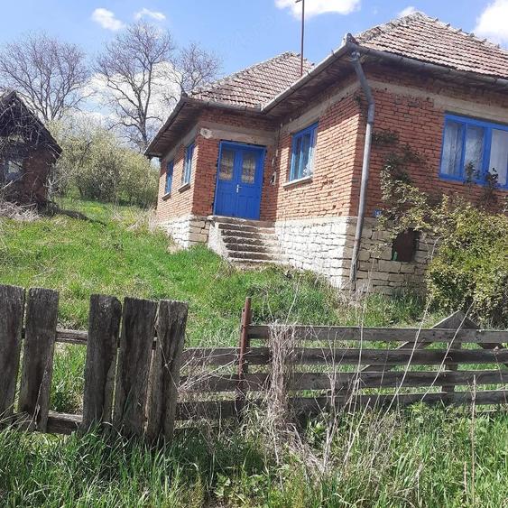 Casă cu 2 camere cu Teren 3506 Mp în Topa Mică