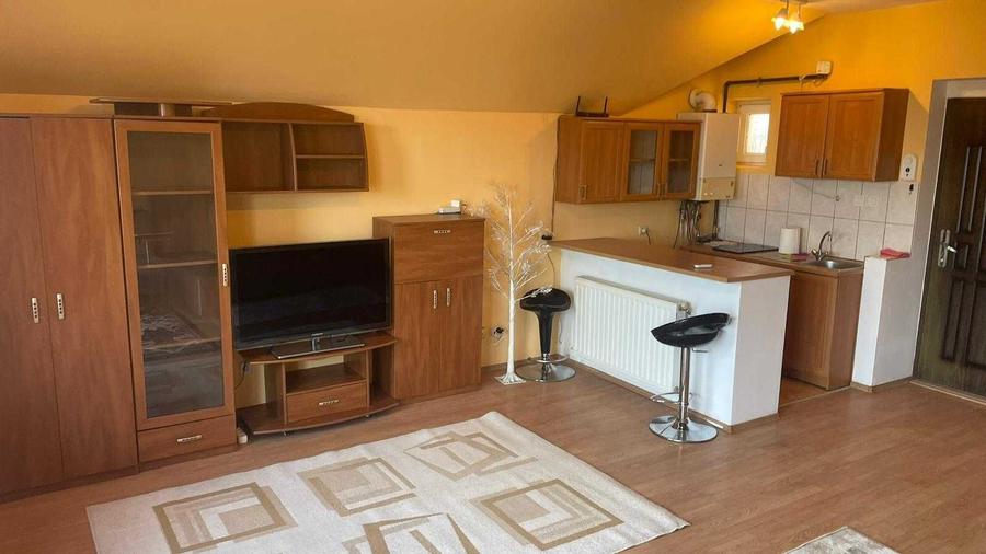 Apartament 1 camera Taietura turcului - 3