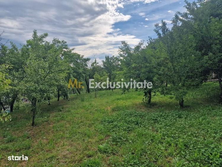 Teren intravilan 1400 mp - Albota ! - 6