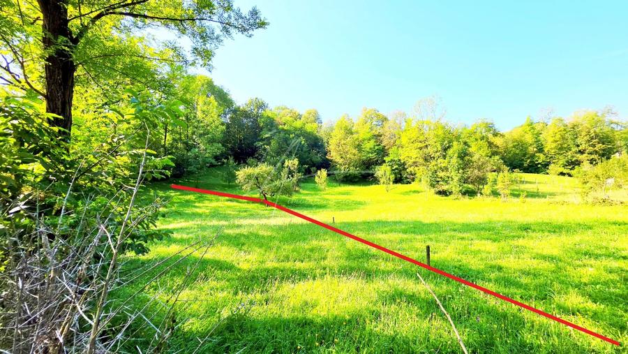 Teren Construcții intravilan de 2870 mp, în Valea Bradului