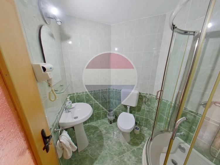 Hotel/Pensiune, de 130 mp, în Săpânța