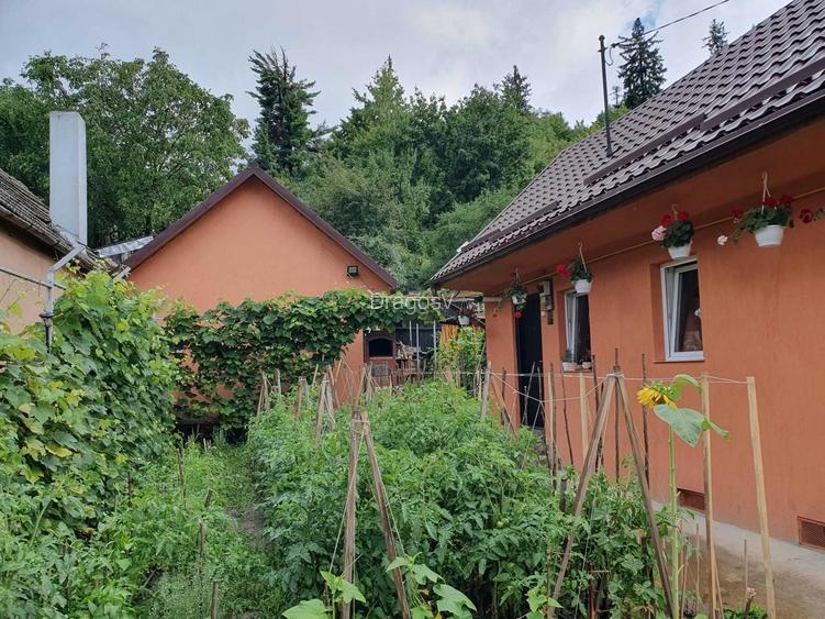 Inchiriez casa la curte in cartierul Darste (strada Andrei Barseanu)