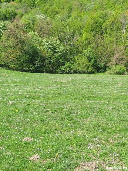 Teren de 8500 mp, în Părău