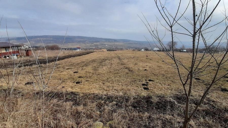 Teren agricol extravilan de 3684 mp, în Iris