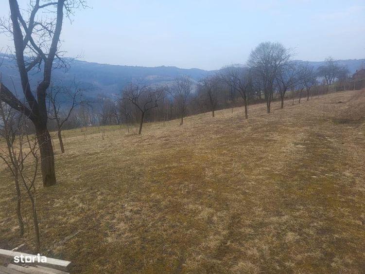 Teren de 5976 mp, în Moisei