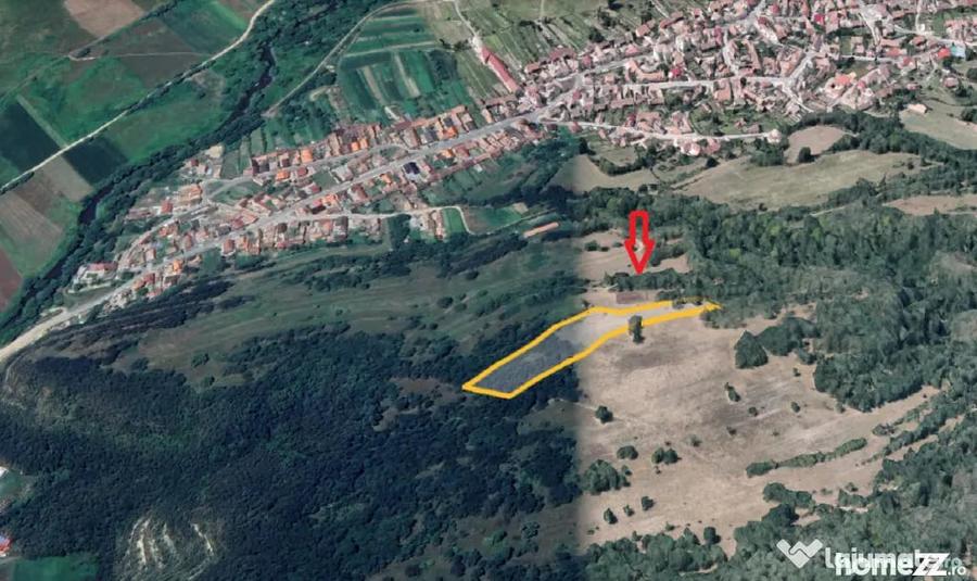 Teren extravilan 5500 mp, la padure zona Selimbar (Mohu) - Selimbar (Sibiu) - 1