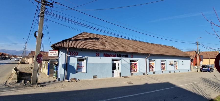 Casă cu 4 camere în Micești