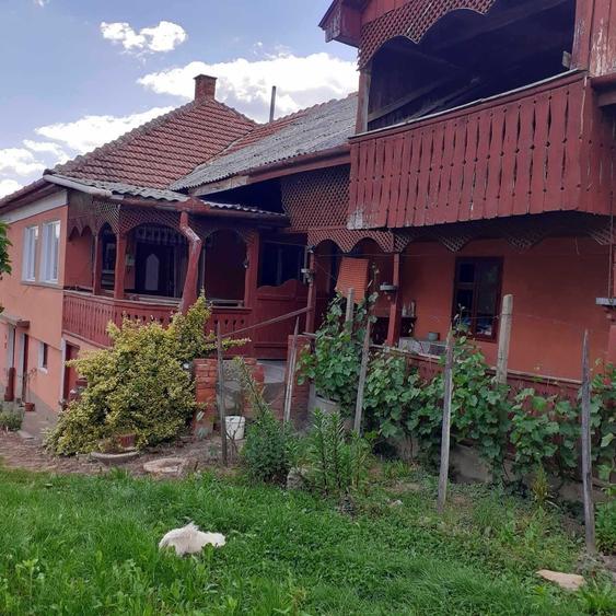 Casă cu 3 camere în Viile Satu Mare