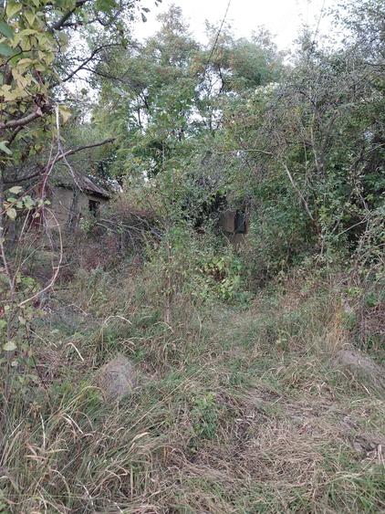 Casă cu Teren 15000 Mp în Bisoca
