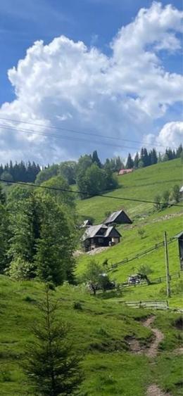 Spațiu comercial, în Muntele Bocului