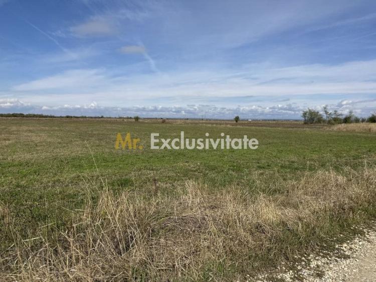 Teren de 3700 mp, în Rătești