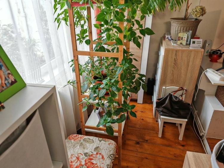 Apartament cu 2 camere nedecomandat, mobilat în Central