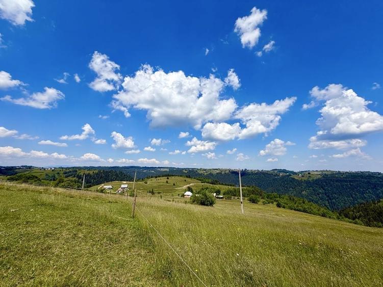 Teren de 10000 mp, în Măguri